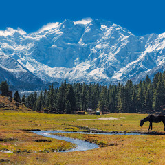 NormanDJ - Progressive Techno