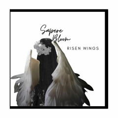 Risen Wings
