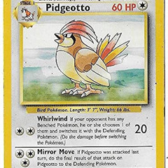 Pidgeotto ( prod. by kaotonyy )