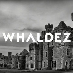 Whaldez - Castle Beast [ Progressive House, Techno Mix ] Podcast #6