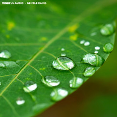 Gentle Rains (10 Hours) Relaxing Rain Sounds for Sleeping, Stress Relief, Anxiety, Reading or Study