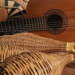 Brasilic - Asa Branca (Luiz Gonzaga)