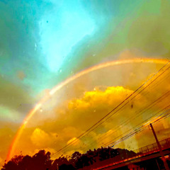 Swell I’m Sorry (feat. Shiloh) FREESTYLE.m4a