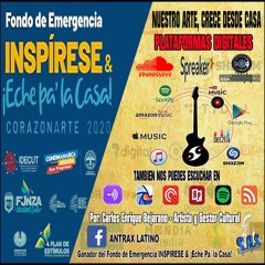 PLATAFORMAS DIGITALES