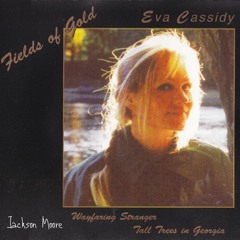 Fields of Gold (Country Style Cover)