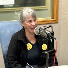 Meg Robbins, N'ton at-large City Council candidate