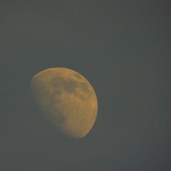 IJustWokeUpOnTheMoon