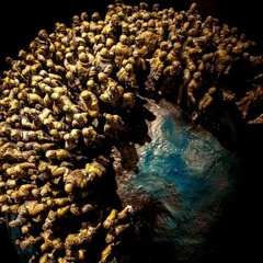 Експеримент є експеримент