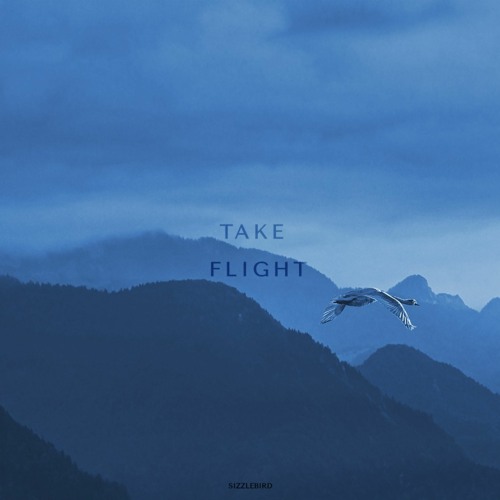 Take Flight (Free Download)