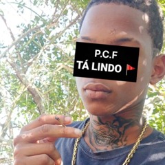 MTG - LENDA X NA GRINGA 001 _ DJ LS do IB _(MP3_160K).mp3