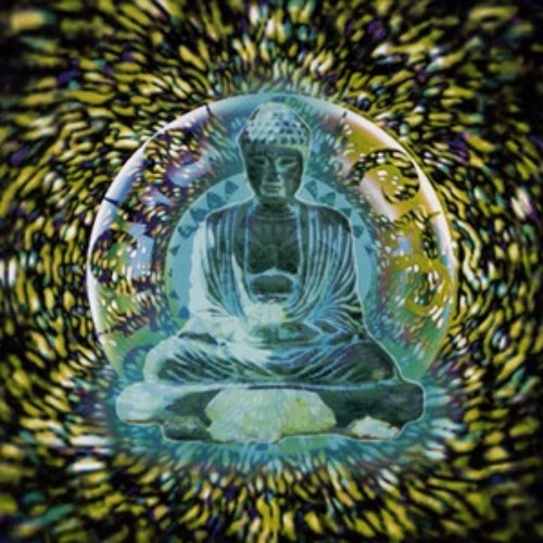 Phase 1: Allow your body to vibrate