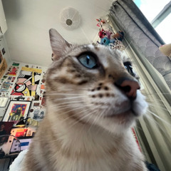 fruit salad (tierra whack) x a letter to jersey jc (dj darknite)