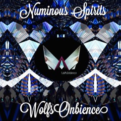 Numinous Spirits