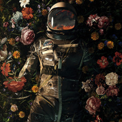 Re:Creation Vol 5 Halcyon