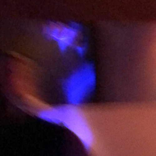 bouncy dolphin techno 06042024 @schroeders