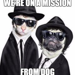 The Reggaeton Brothers