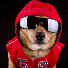 DAWG (IN ME) -  FREE DOWNLOAD