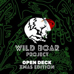 RAVEN b2b Voyager de Martin - Open Deck [EP010] - Wild Boar Project