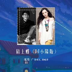 金志文,汤晓菲 - 肩上蝶 (DJ小阳版)「我愿意化蝶在你肩上落 守住你并不经意的执着」【動態歌詞/pīn yīn gē cí】#金志文 #汤晓菲 #肩上蝶 #動態歌詞