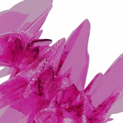 slphr - dianthus (dxsbond flip)