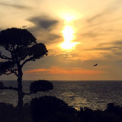 悲しい２ - 2025:07:15 15.26