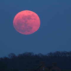 Pink Moon - Nick Drake (QUICK TAKE acoustic cover)
