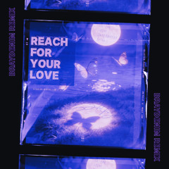 Reach For Your Love (BrayDenim Remix)
