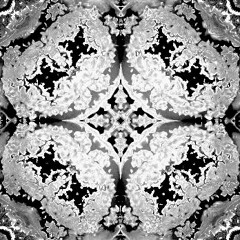Fibonacci (Most Played Playlist)