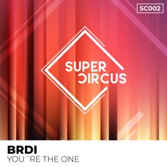 BRDI - You're The One