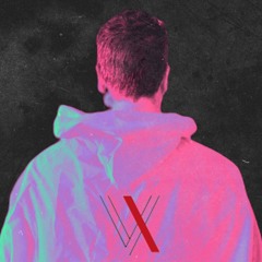 Come on_bitch - Sexy bitch feat. S&M (vexci) remix