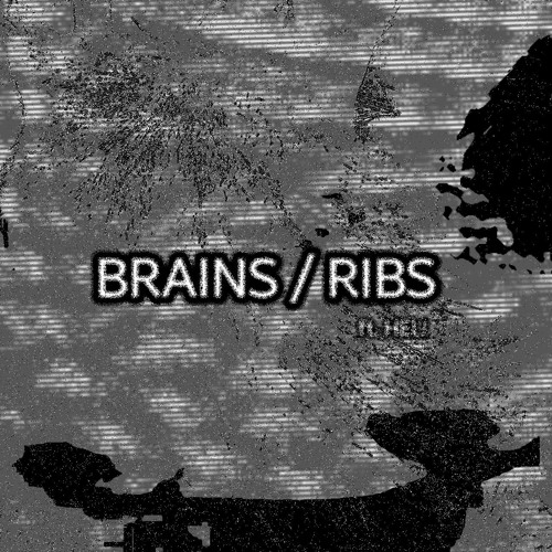 BRAINS / RIBS (feat. HEL!) (prod. RAVEN)