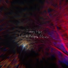 Tommy Hart: Live at the Beach Stage (November 2025)