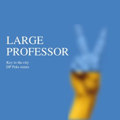 Large Professor - Key to the city (DP Peks remix)