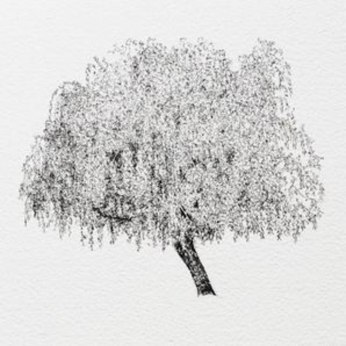 Willow Tree
