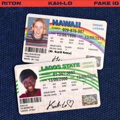 Riton & Kah-Lo - Fake I.D (Mr. StarZ Remix) *FREE DL*