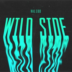 Valido - Wild Side
