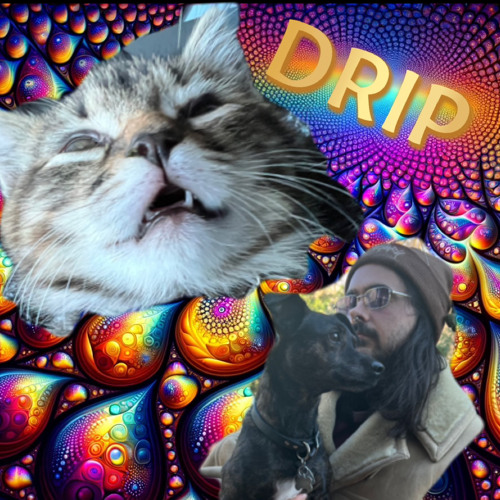 DRIP DRIP