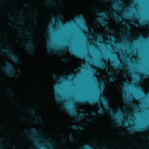 VOM - The Zone