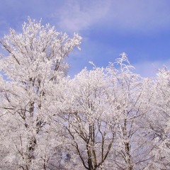 The Longest Winter.WAV