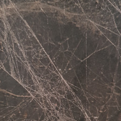 NAGEN - nadir (snippet)