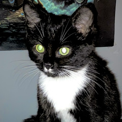 müde.wav w/ lus (prod by illmore)