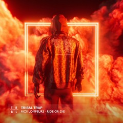 unofficial ◇◇◇