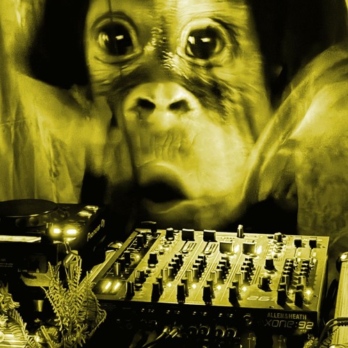 Summer 2024 Mix (Big Moon 2024 Set)