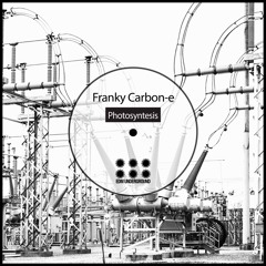 Franky Carbon-e - Early Reflections (Original Mix)