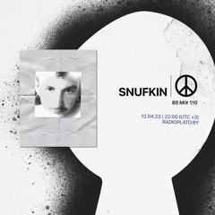 BS mix 110 • snufkin
