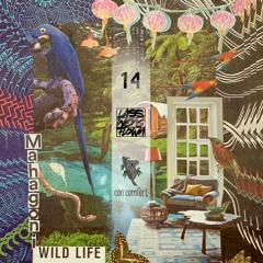 LWF Represent 14 - Muvs (Mahagoni Vinyl - Set)