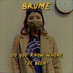 Do You Know Where I’ve Been? DEMO