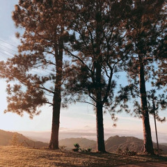 The Times - Infra Merah