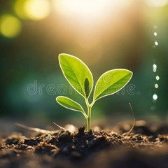 Life need to grow.mp3