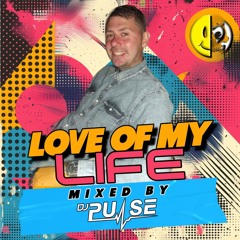 DJ Pulse Love Of My Life